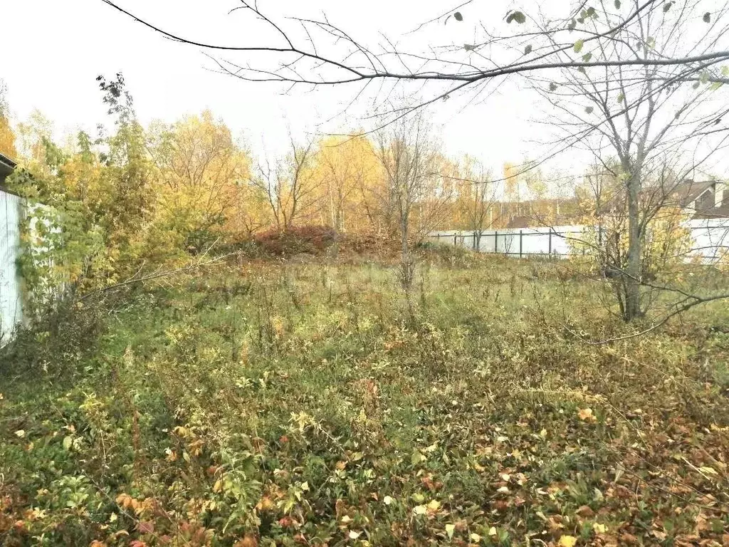 Участок в Башкортостан, Уфимский район, с. Булгаково Березовая ул. ... - Фото 2