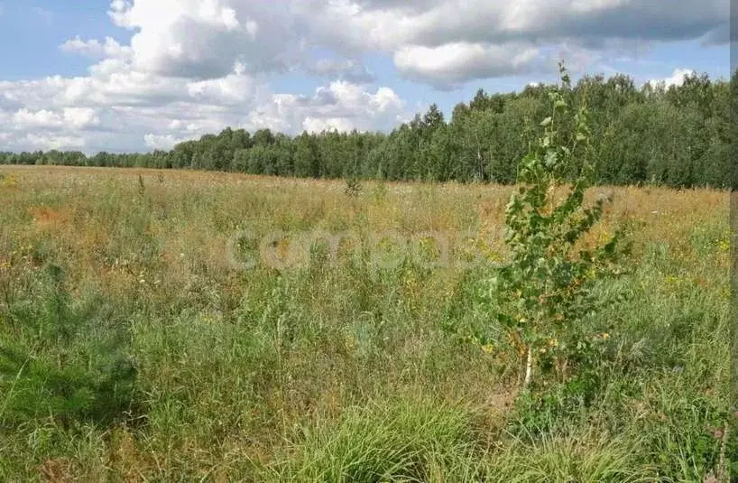 Участок в Тюменская область, Тюменский район, д. Криводанова  (10.43 ... - Фото 0