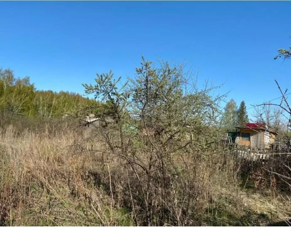 Участок в Нижегородская область, Арзамас городской округ, д. Березовка ... - Фото 1