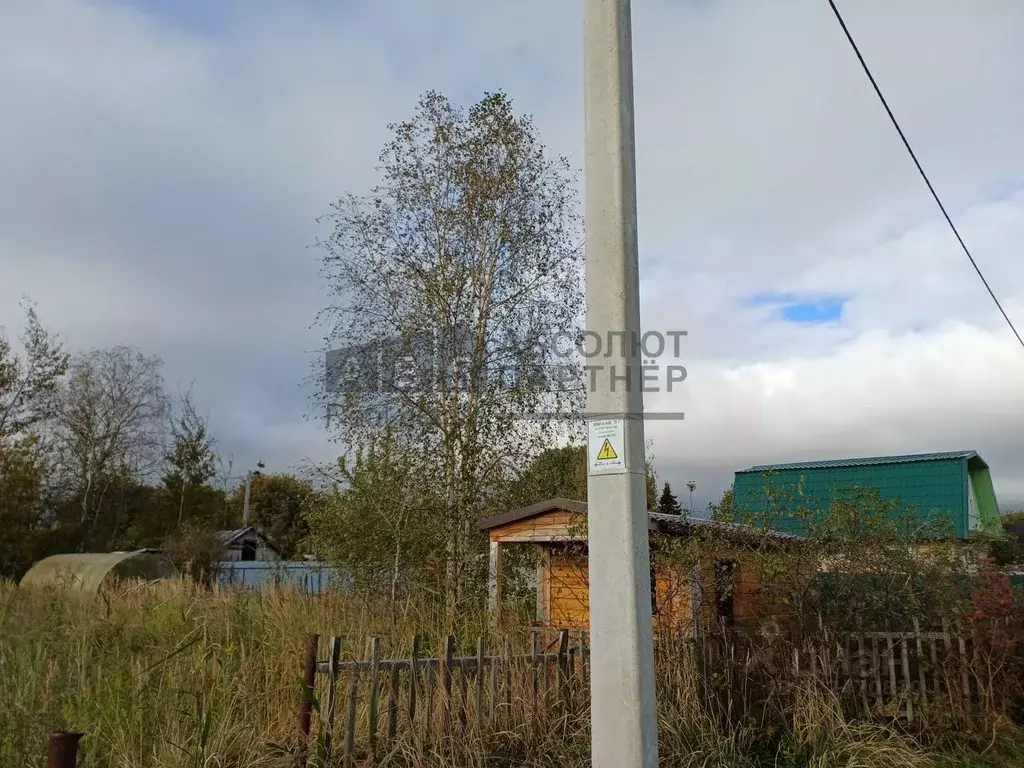 Участок в Новгородская область, Новгородский район, Панковское ... - Фото 1