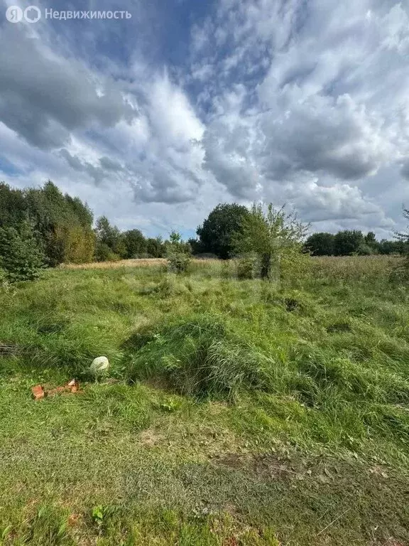 Участок в Калининградская область, Зеленоградский муниципальный округ, ... - Фото 2