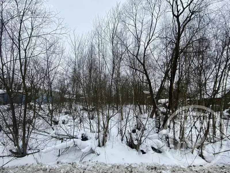 Участок в Колпино, Вознесенское шоссе (12 м) - Фото 1