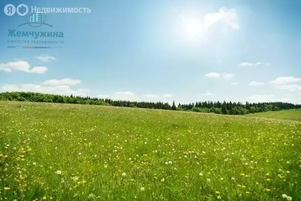 Участок в село Бирля, Базарная улица (10 м) - Фото 1