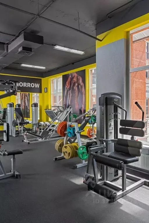 Помещение свободного назначения в Краснодарский край, Геленджик ул. ... - Фото 2