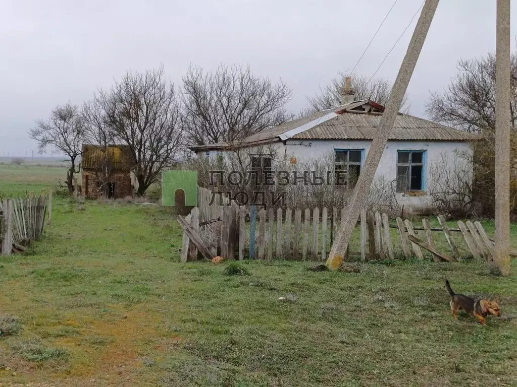 Дом в Крым, Раздольненский район, Зиминское с/пос, с. Зимино ул. ... - Фото 1