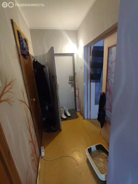 1-комнатная квартира: Кемерово, улица Свободы, 7 (34.1 м) - Фото 1