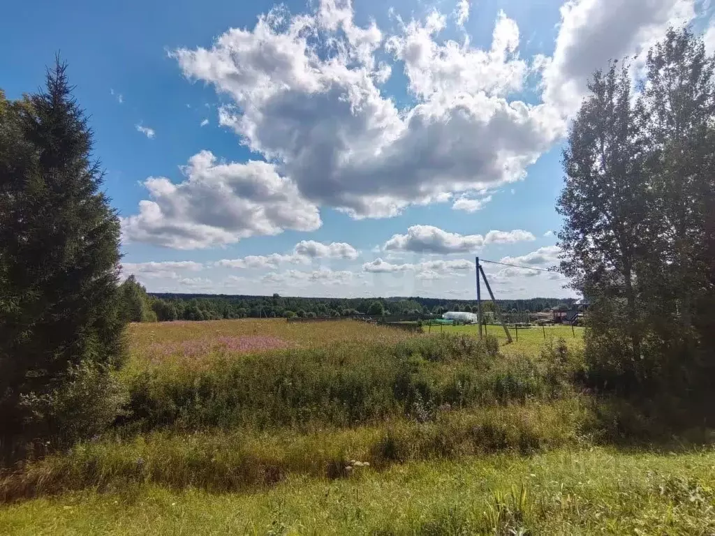 Участок в Вологодская область, Дикая ж/д_ст  (16.0 сот.) - Фото 2