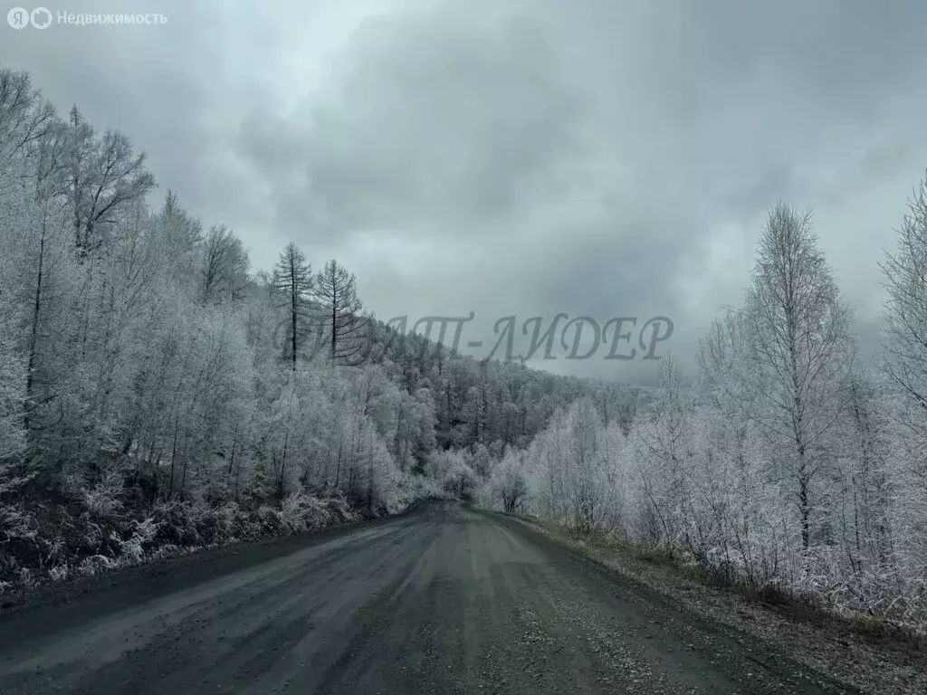 Участок в Шебалинский район, село Малая Черга (80 м) - Фото 2