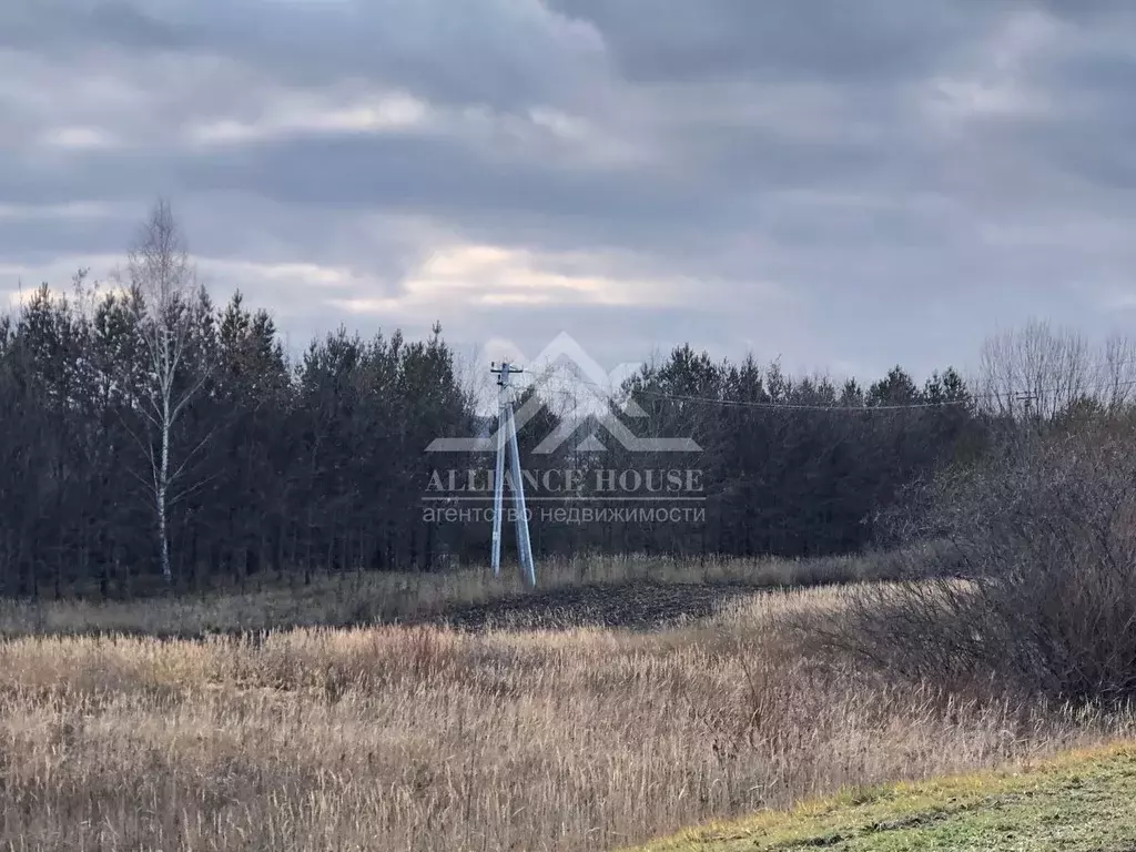 Участок в Татарстан, Лаишевский район, с. Кирби ул. Татарстан (453.0 ... - Фото 1