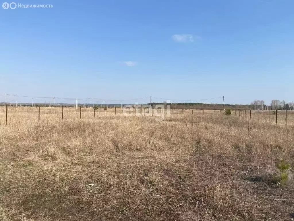 Участок в Елабужский район, Поспеловское сельское поселение, село ... - Фото 0