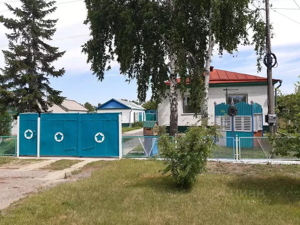 Дом в Алтайский край, Немецкий Национальный район, с. Подсосново ул. ... - Фото 0