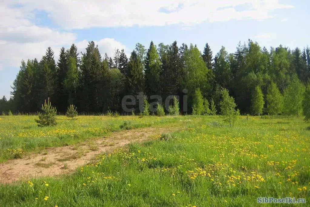 Участок в Амурская область, Благовещенский район, с. Чигири  (10.0 ... - Фото 2