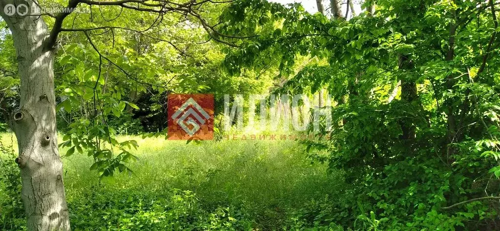 Участок в Пожарское сельское поселение, село Водное, Садовая улица ... - Фото 2