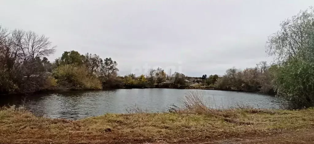 Дом в Белгородская область, Губкинский городской округ, с. Бобровы ... - Фото 1