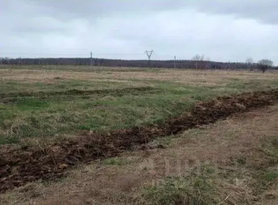 Участок в Московская область, Серпухов городской округ, д. Каменка  ... - Фото 1