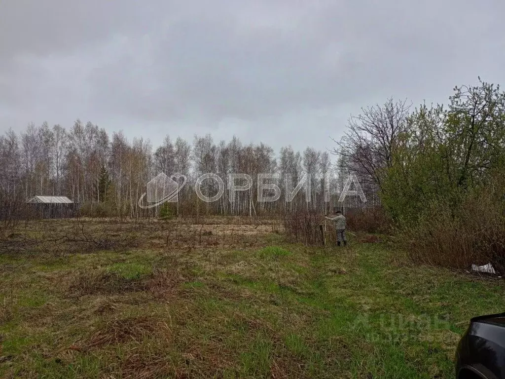 Участок в Тюменская область, Тюменский муниципальный округ, Красная ... - Фото 2