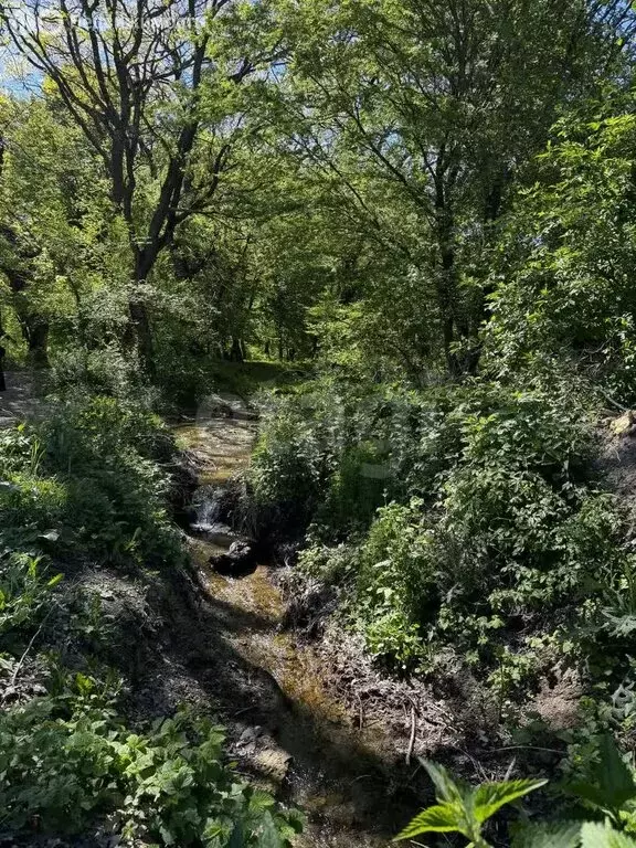 Участок в село Земляничное, Лесная улица (8.8 м) - Фото 1