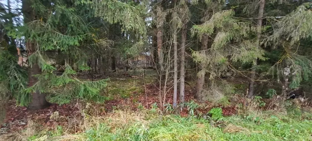 Участок в Московская область, Руза  (11.3 сот.) - Фото 1