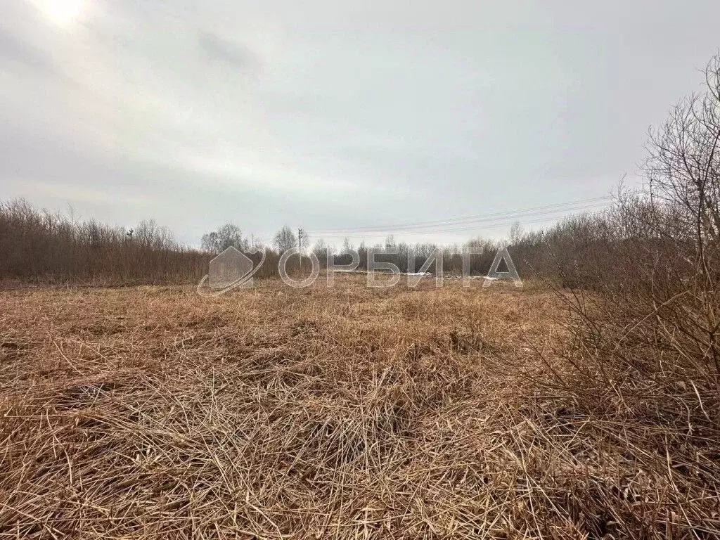 Участок в Тюменская область, Тюменский муниципальный округ, пос. ... - Фото 2