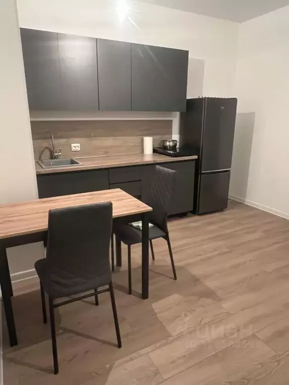 1-к кв. Санкт-Петербург пос. Песочный, Центральная ул., 83 (21.7 м) - Фото 1