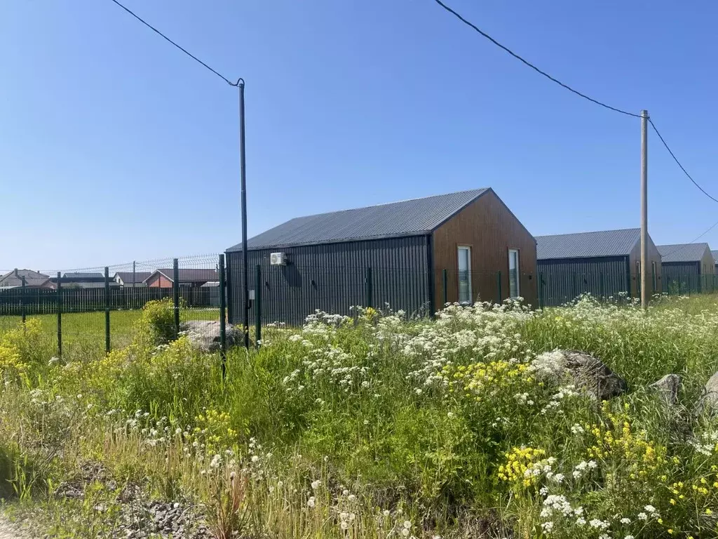 Участок в Ленинградская область, Ломоносовский район, Гостилицкое ... - Фото 1