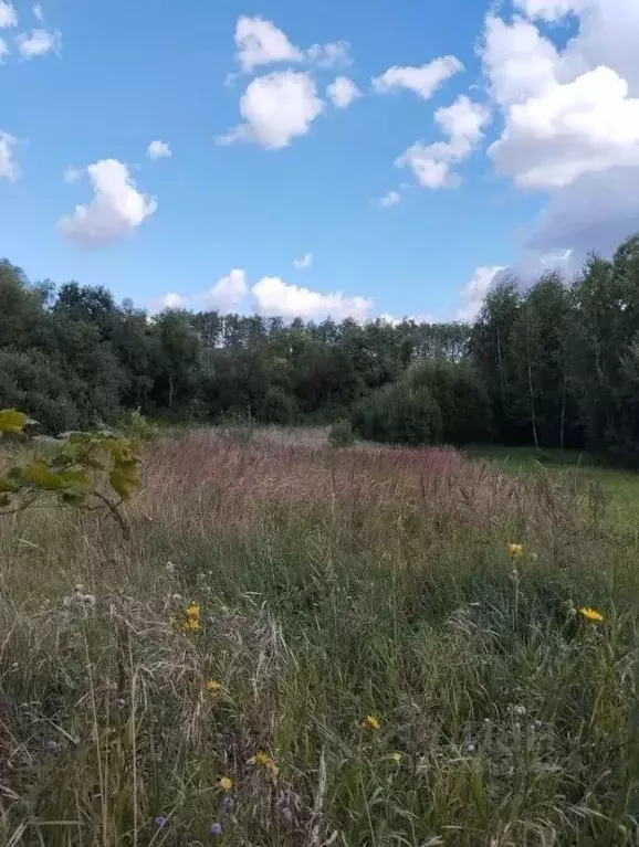 Участок в Рязанская область, Михайловский муниципальный округ, д. ... - Фото 2