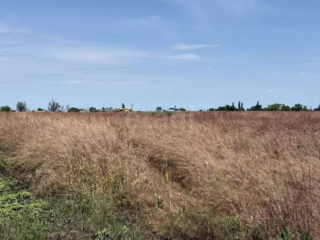 Участок в Краснодарский край, Ейское городское поселение, пос. ... - Фото 2