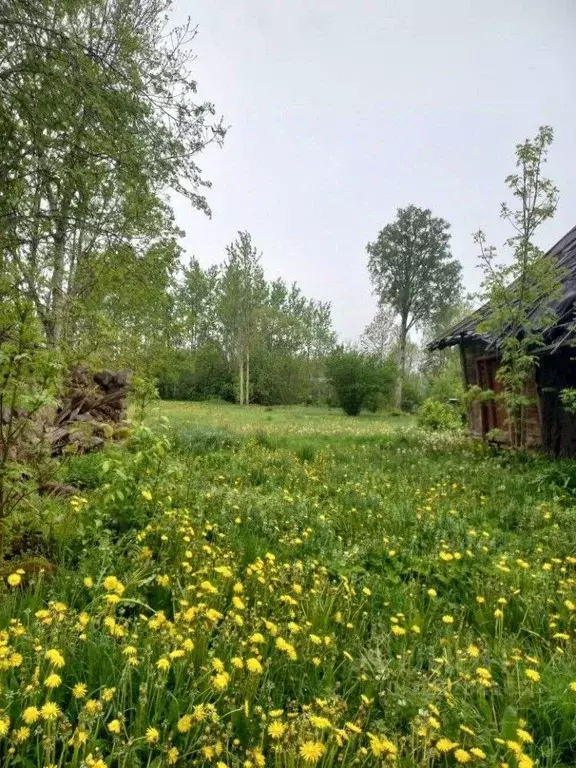 Дом в Псковская область, Печорский муниципальный округ, д. ... - Фото 1