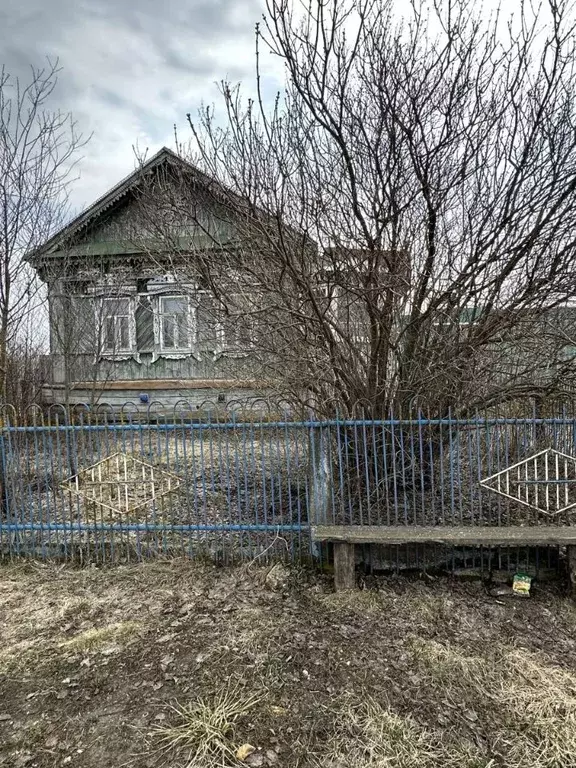 Дом в Пензенская область, Городищенский район, с. Нижняя Елюзань ул. ... - Фото 1