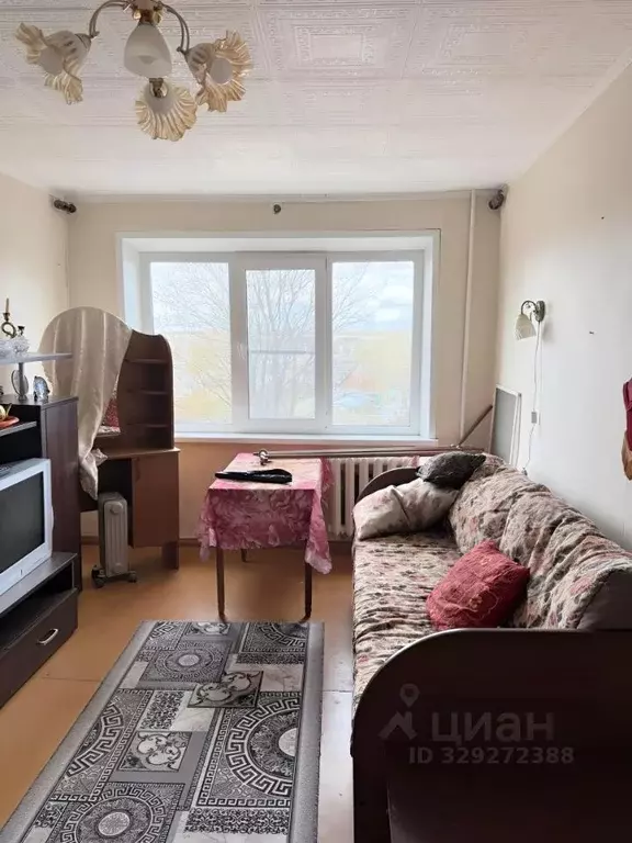 1-к кв. Новгородская область, Чудовский муниципальный район, ... - Фото 1
