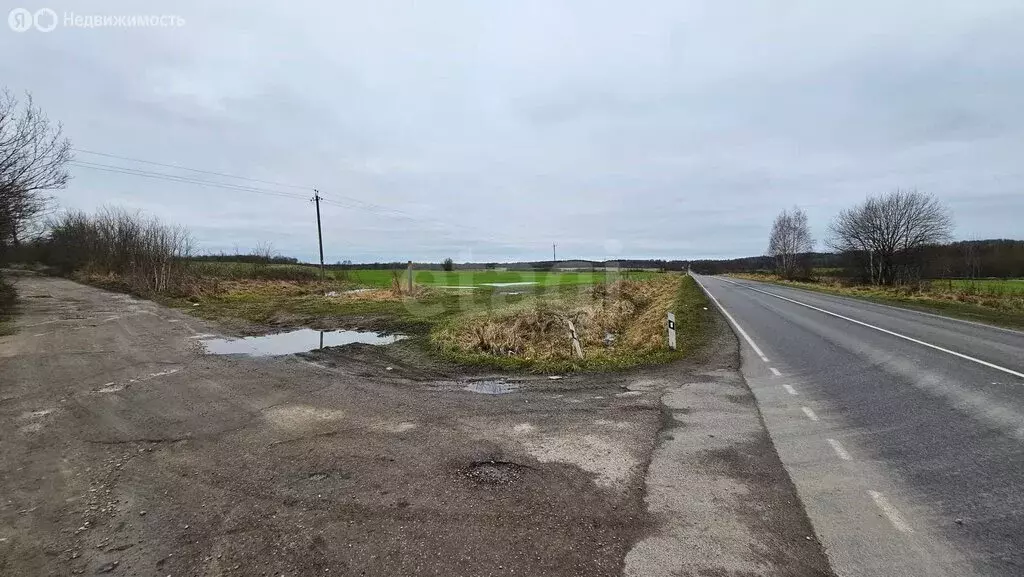 Участок в Калининградская область, Озёрский муниципальный округ, ... - Фото 1