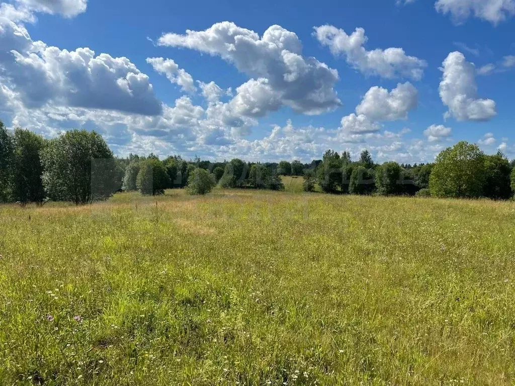 Участок в Новгородская область, Окуловка Славная ул., 26 (302.1 сот.) - Фото 0