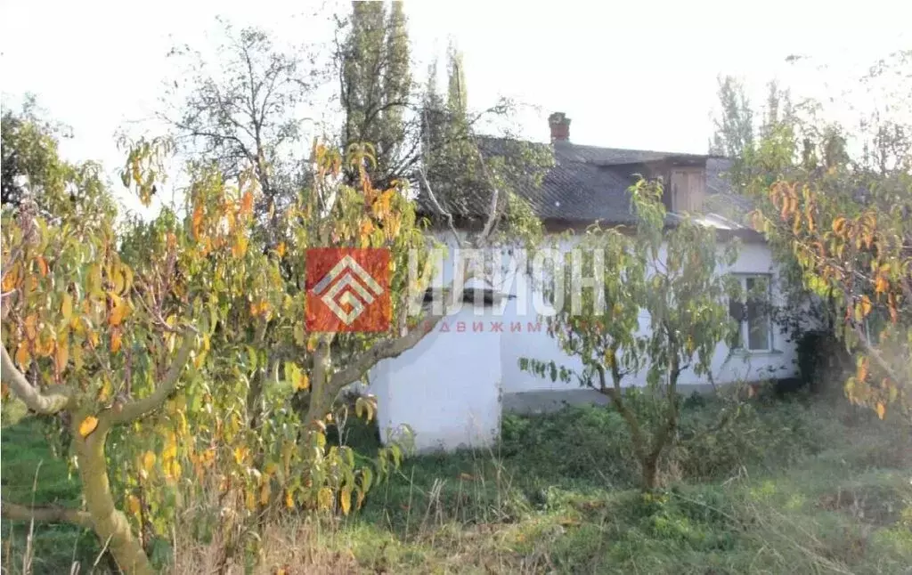 Дом в Тенистое, улица Ленина, 40 (116 м) - Фото 2