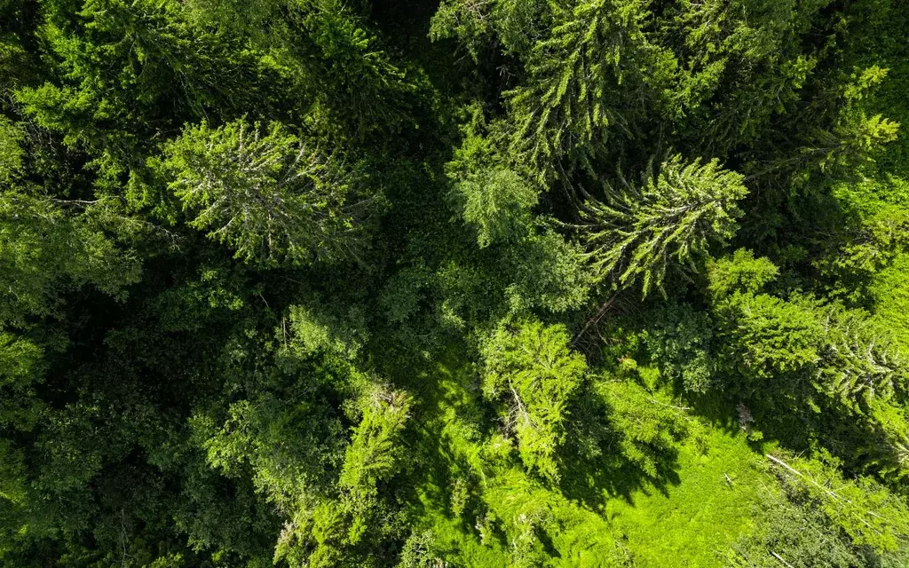 Участок в Московская область, Волоколамский муниципальный округ, ... - Фото 2