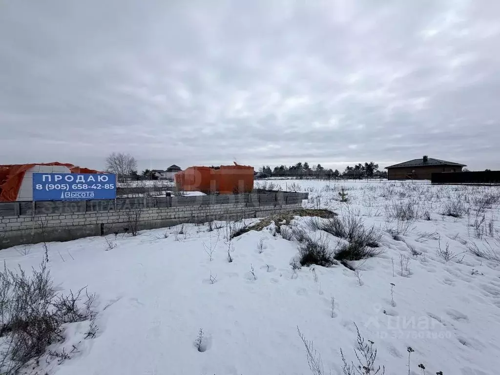 Участок в Воронежская область, Рамонский район, с. Новоживотинное  ... - Фото 2