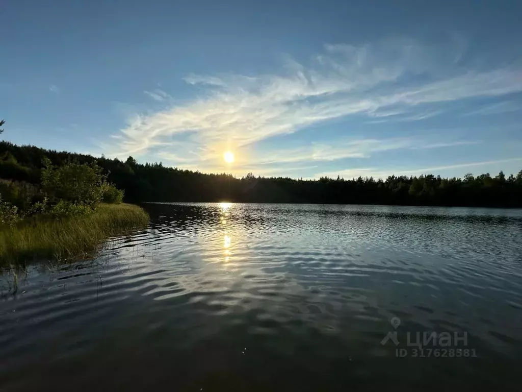 Участок в Ленинградская область, Всеволожский район, Романовское ... - Фото 1