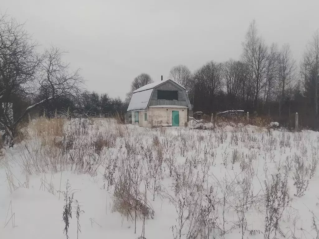 Участок в Псковская область, Островский район, Бережанская волость, ... - Фото 1