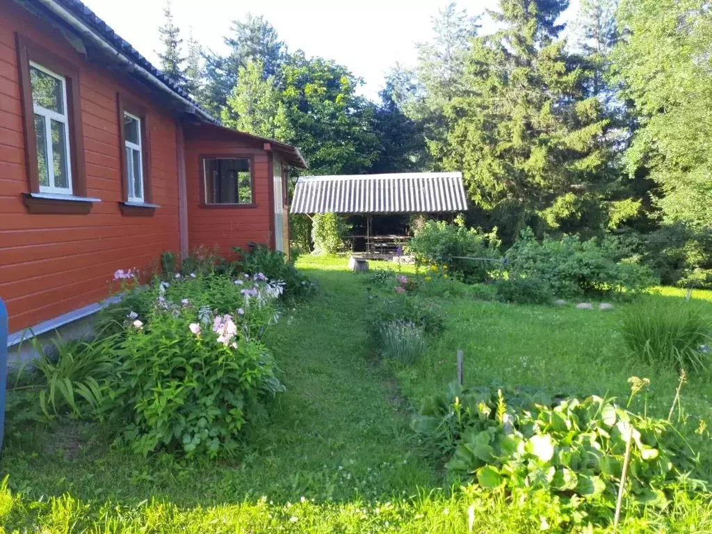 Дом в Псковская область, Стругокрасненский район, д. Гаврилова Гора 7 ... - Фото 1