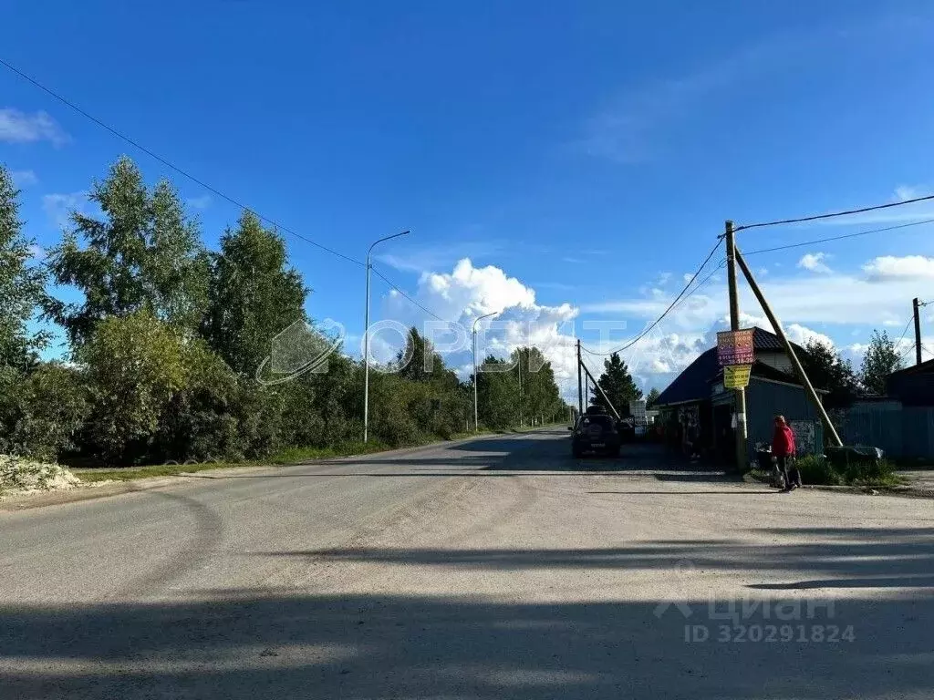 Участок в Тюменская область, Тюмень Садовое товарищество Липовый ... - Фото 1