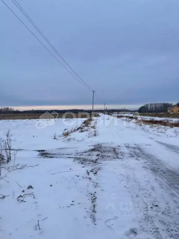 Участок в Тюменская область, Тюменский район, с. Горьковка  (6.58 ... - Фото 0