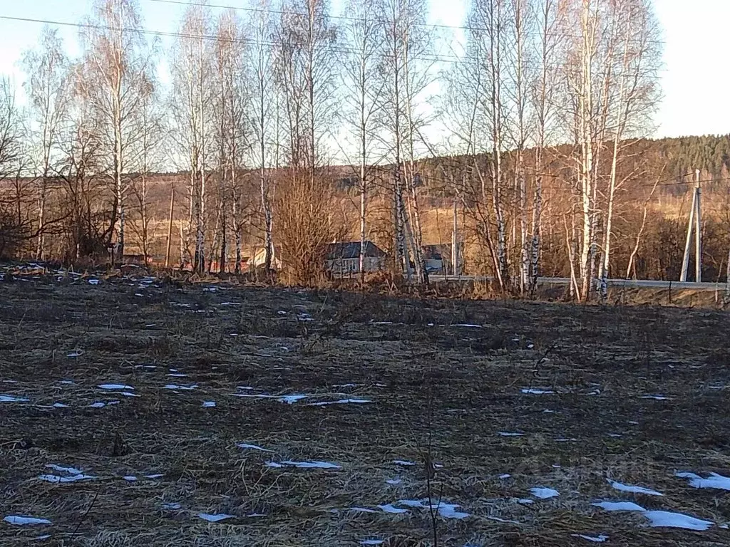 Участок в Калужская область, Козельский район, Бурнашево с/пос  (9.1 ... - Фото 2