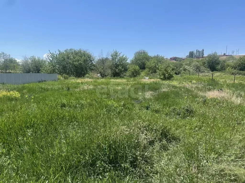 Участок в Ростовская область, Мясниковский район, с. Чалтырь ул. ... - Фото 2