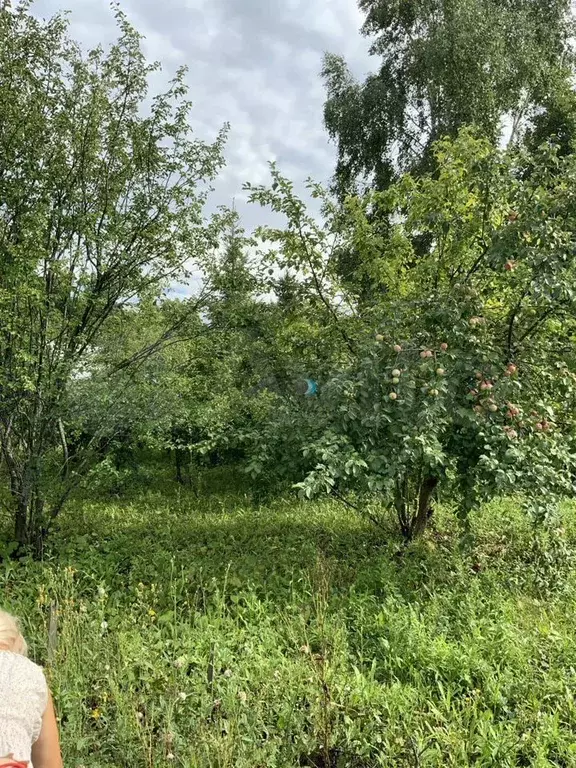 Дом 40 м на участке 8 сот. - Фото 1