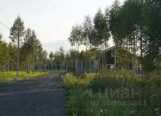 Участок в Московская область, Домодедово городской округ, с. Успенское ... - Фото 1