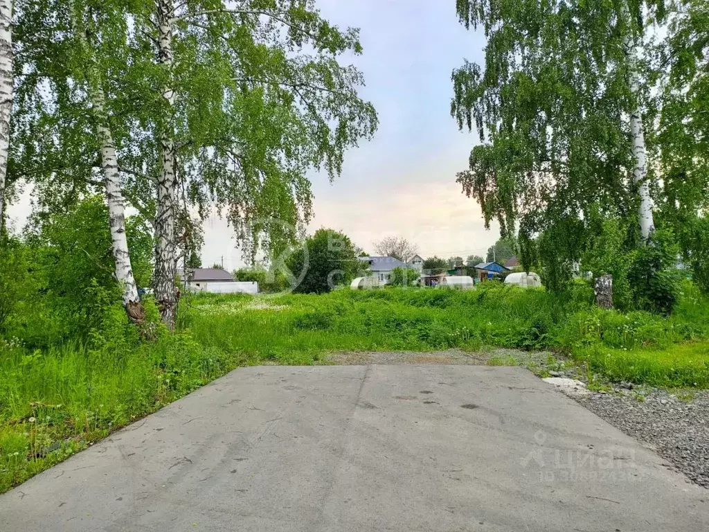 Участок в Новосибирская область, Новосибирский район, Каменский ... - Фото 0