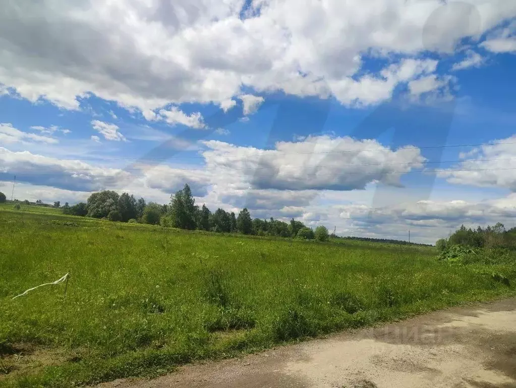 Участок в Московская область, Клин городской округ, д. Давыдково, ... - Фото 1