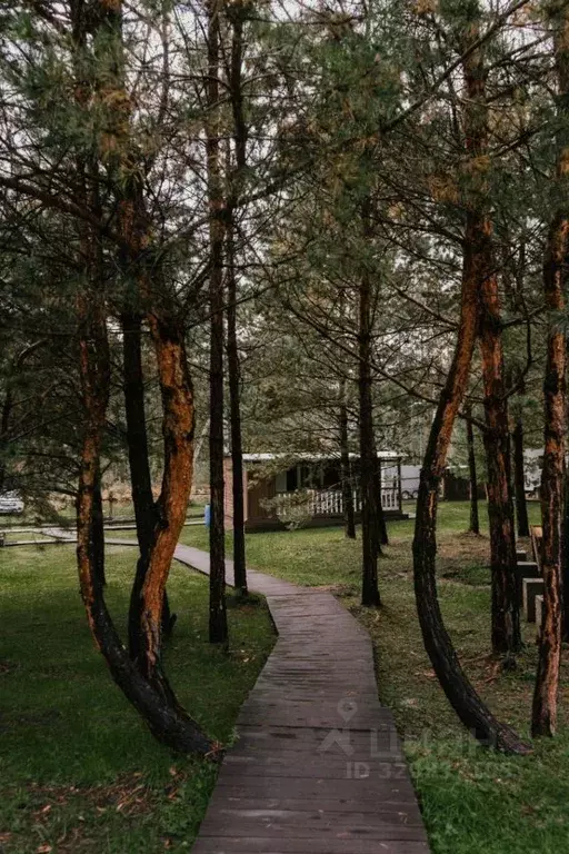 Дом в Алтай, Чемальский район, пос. Усть-Сема ул. Ильи Захаровича ... - Фото 0
