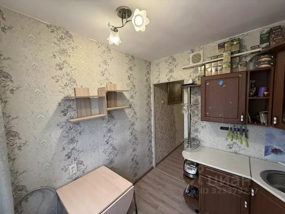 1-к кв. Пермский край, Березники муниципальный округ, пос. ... - Фото 2