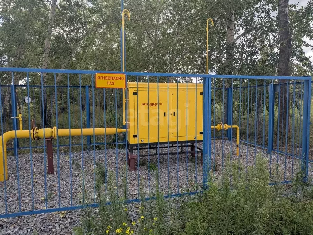 Участок в Новосибирская область, Новосибирский район, Морской ... - Фото 1