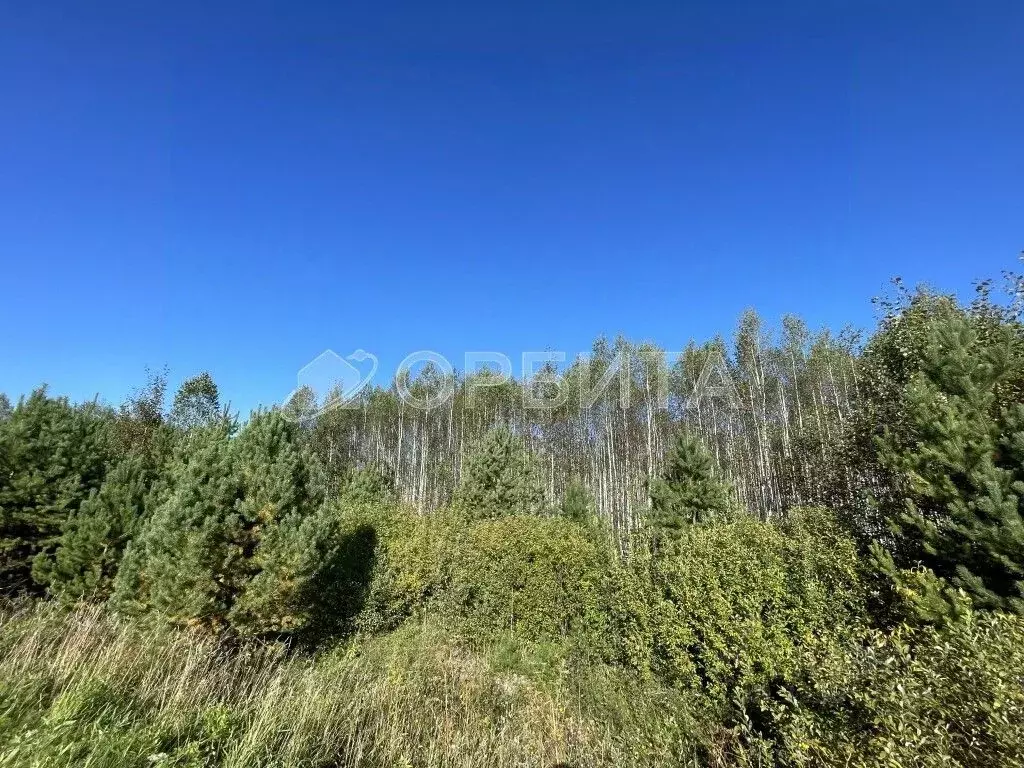 Участок в Тюменская область, Нижнетавдинский муниципальный округ, д. ... - Фото 2